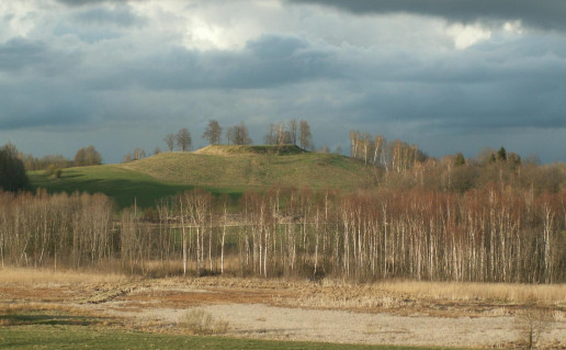 9_Bilionių piliakalnis (Švedkalnis).jpg